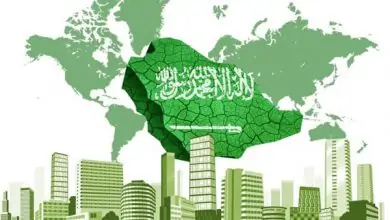 افضل ما قاله الشعراء عن المملكة العربية السعودية