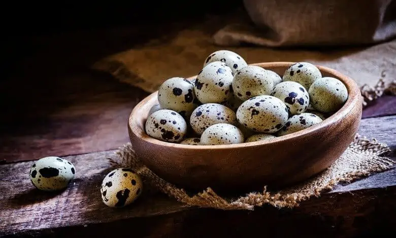 Quail eggs benefits