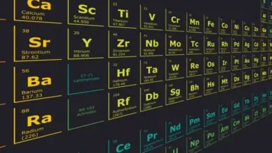 metals and nonmetals